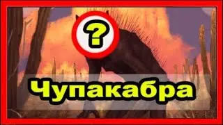 Поучительный рассказ о животных 