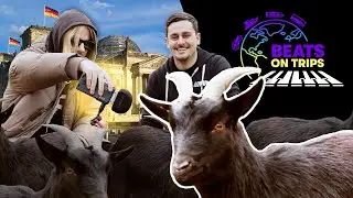 Making a Beat with Zoo Animals in Berlin | Beats on Trips