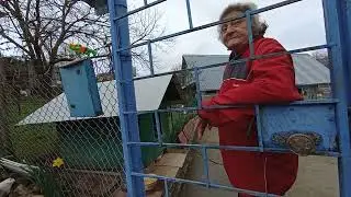 Сочи. СНТ Айва. Разговор с соседкой. О собаках, воспоминания о прежней жизни. И многом другом.)