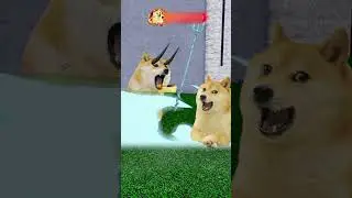 God chalice 🍷 | Doge Gaming