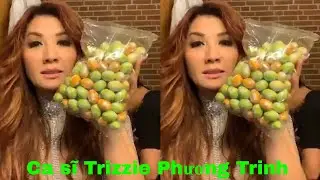 Ca sĩ Trizzie Phương Trinh cùng nhóm New Wave Tour hát tại Đan Mạch 13/04/2019
