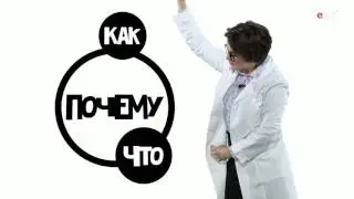 Премьера! «Молекула вкуса»