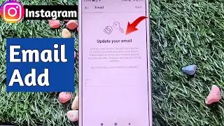 how to add email on instagram