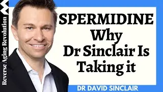 Spermidine - Why Dr David Sinclair Is Taking It? | Dr David Sinclair Interview Clips