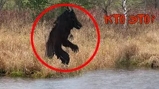 Загадочные существа снятые на камеру #2 | Хэллоуинский выпуск