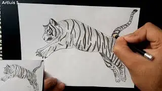 Как нарисовать тигра карандашом | Рисунок для начинающих поэтапно
