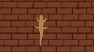 Adobe Flash animation tutorial for beginners : Lizard walk