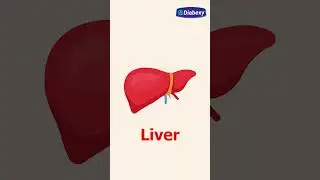 Can I Live A Normal Life With Type 2 Diabetes? | Diabexy