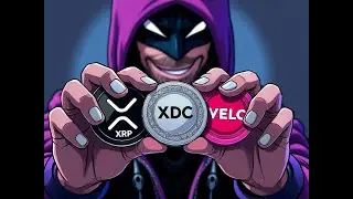 DIAMOND HANDS!  XRP - XDC - VELO | The Deeper Dive