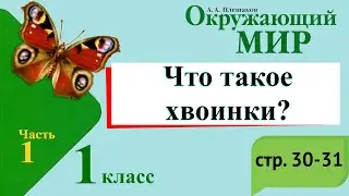 Что такое хвоинки? Окружающий мир. 1 класс, 1 часть. Учебник А. Плешаков стр. 30-31