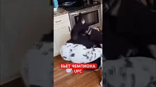 Девушка НАПАЛА На Чемпиона UFC 😱