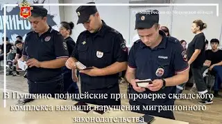 В Пушкино полицейские при проверке склада выявили нарушения миграционного законодательства