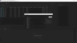 How to customize bin metadata columns in Premiere Pro