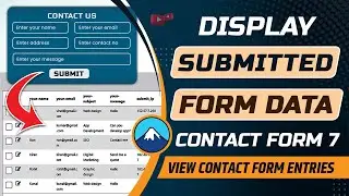 How to display contact form 7 data submission in WordPress | Show contact form7 entries in WordPress