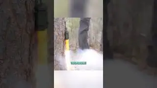 Tripwire Alarm for Scaring Trespassers