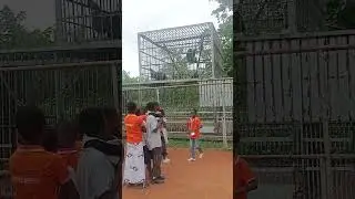 Visitors feed chimps Fanta. Kumasi zoo, Ghana