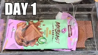 Chocolate Bar After 250 Days In Epoxy Resin | What Happened?