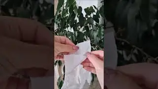Маска-перчатки для рук 