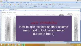 Text to Columns Excel |How do I separate text in two columns in Excel? | Learn in bodo