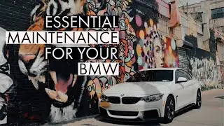 Buying a Used BMW? (ESSENTIAL MAINTENANCE)