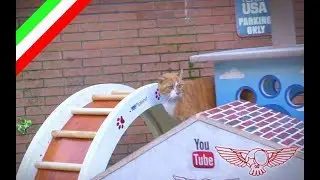 Come costruire un gioco meraviglioso (tapis roulant) per gatti - ep 02 - Roland Master Maker