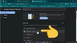 How to View Saved Passwords in Chrome on Windows 11 (Latest Update)