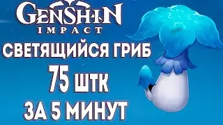 СВЕТЯЩИЙСЯ ГРИБ (fluorescent fungus) ► Genshin Impact [Маршрут] [Guide]