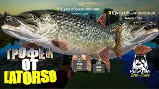 Русская рыбалка 4. 🎣 оз. Старый Острог 🦈🦈💦 ТРОФЕИ от LATORSO 👀