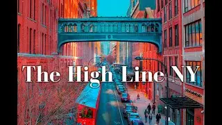 The High Line  new York  virtual tour 4k