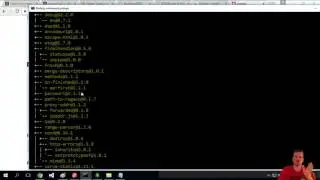 Install express with NPM