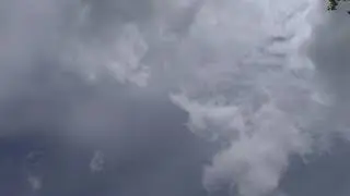 Как определить на какой высоте летит голубь...