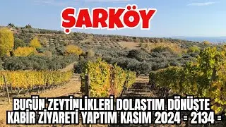 BUGÜN ZEYTİNLİKLERİ DOLAŞTIM DÖNÜŞTE KABİR ZİYARETİ YAPTIM KASIM 2024  = 2134 =