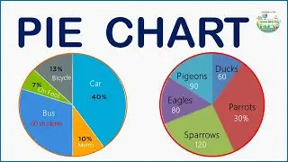 The Easiest Way to interpret PIE CHARTS (PIE GRAPHS)