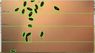 Seed counter_ 0 delay