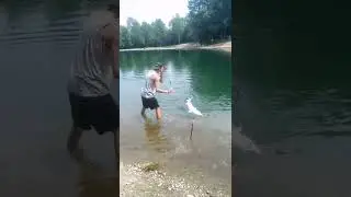 pesca storione nuovo lago dei gabbiani 2022