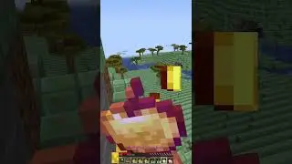 Smartest Minecraft Player (500+ iq)