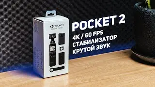 DJI Pocket 2 Creator Combo - The # 1 Blogger Gadget Review!