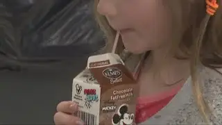 Chocolate milk may soon be banned from US school cafeterias