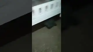У Чернігові в будинку на проспекті Перемоги, 149, в квартирі прорвало батареї