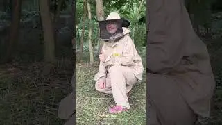 Специалист по 🐝