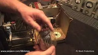 Amp Supply Co.  