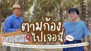 แหล่งท่องเที่ยววิถีชุมชนคนกับตาล สักการะหลวงพ่อดำศักดิ์สิทธิ์ อายุกว่า 1000 ปี 🌳I ตามก้องไปเจอนี่
