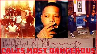 Who are the Playboy Gangster Crips? |The story of one of West Los Angeles most dangerous crip gang.