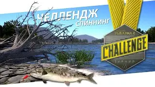 РУССКАЯ РЫБАЛКА 4 - Челлендж 