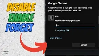 Google Chrome Is Trying To Show Passwords 