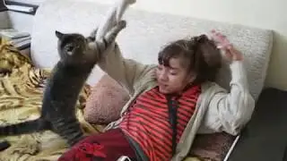 Кот-зила