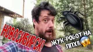 Поездка в Новосибирск! Помощник на ЛПХ!