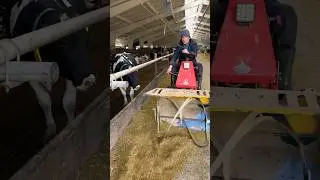 Incredible feed cutter 