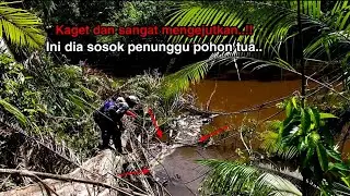 kaget dan sangat mengejutkan dapat jackpot dibawah pohon tua..#umpanjangkrik #umpanjitu