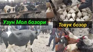 Сурхондарё Узун Мол бозори нархлари. 27.03.2022й